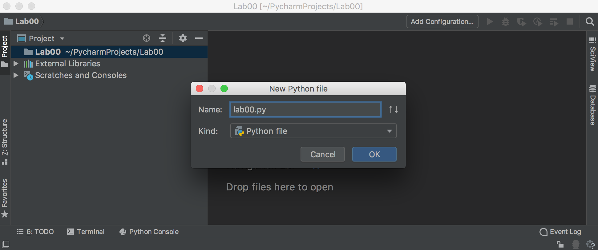 PyCharm enter the new file-name