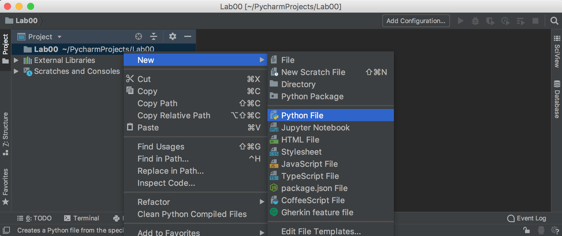 PyCharm Create a new file